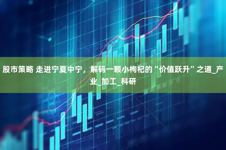 股市策略 走进宁夏中宁，解码一颗小枸杞的“价值跃升”之道_产业_加工_科研