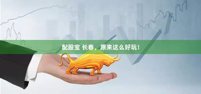 配股宝 长春，原来这么好玩！