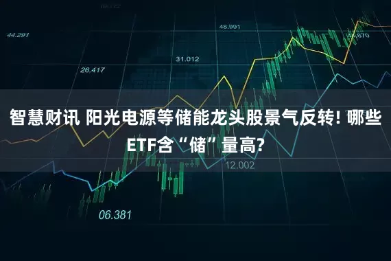 智慧财讯 阳光电源等储能龙头股景气反转! 哪些ETF含“储”量高?
